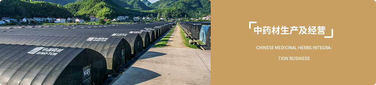 中药材生产及经营